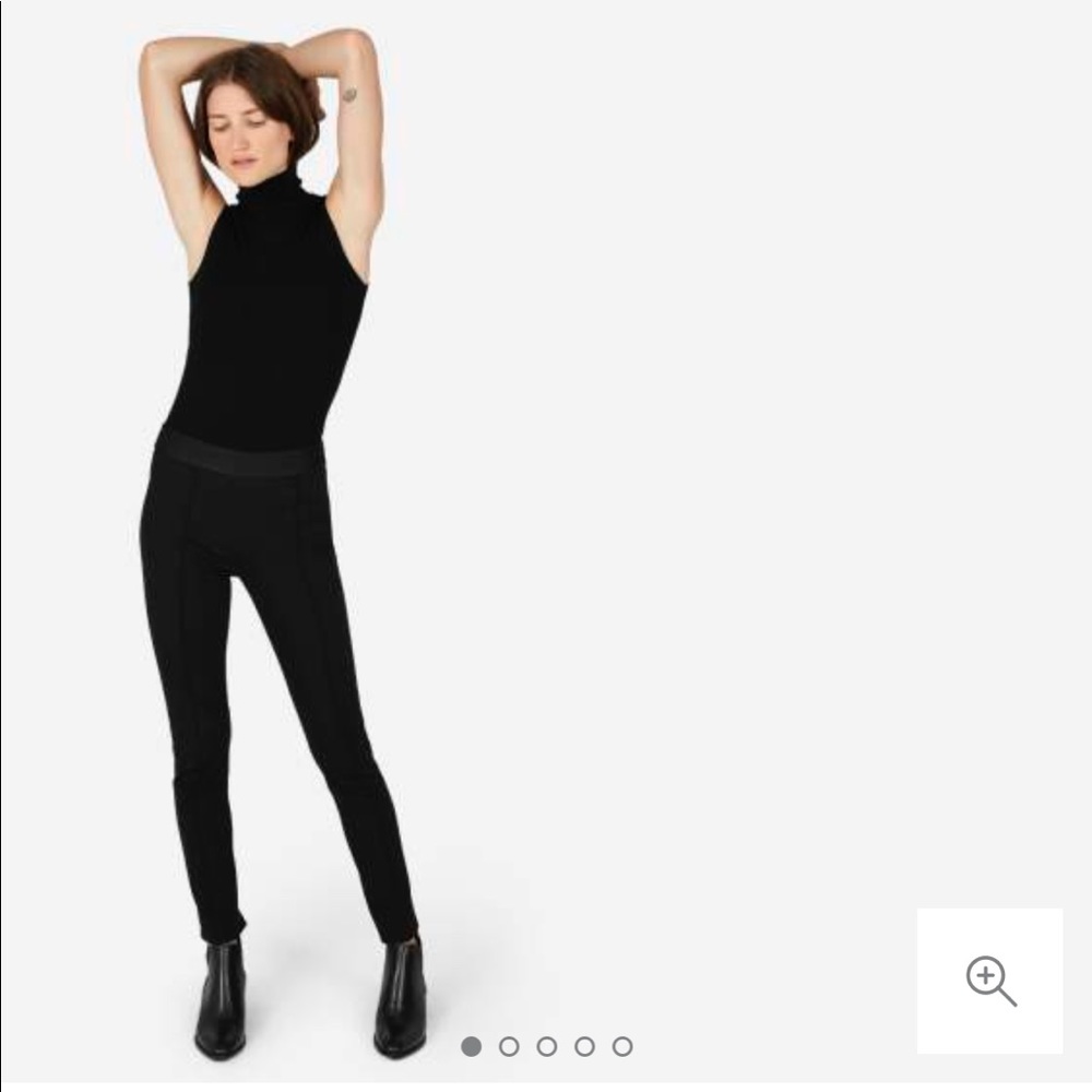 Everlane NWOT Stretch Ponte Skinny Pant